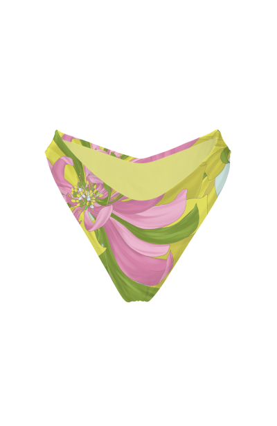 V bikini briefs with "Flirt in Bloom" print